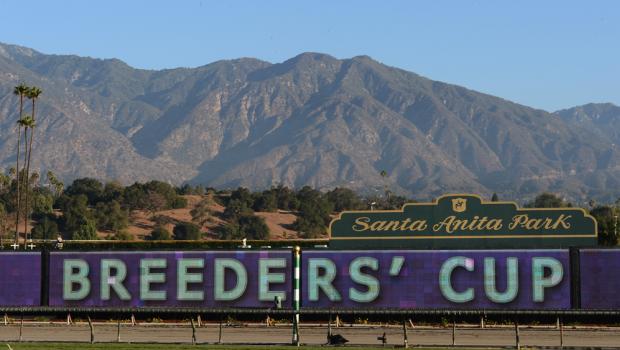 Breeders’ Cup Saturday Selections